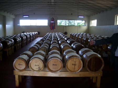 Cantine Melini